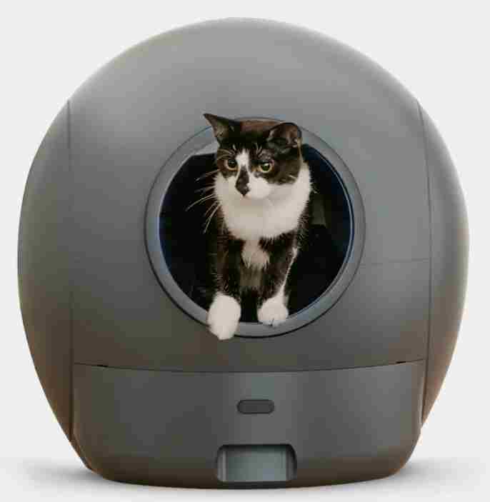 Selbstreinigendes Katzenklo - Soll ich jetzt noch kaufen?