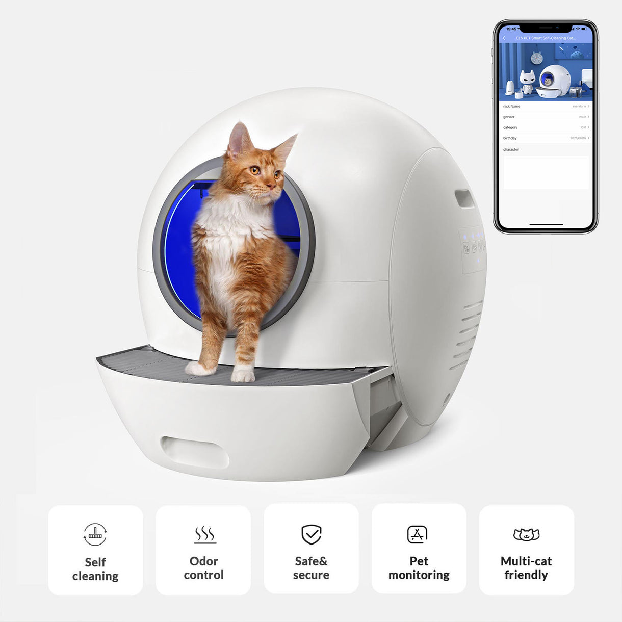 Spaceship 1 Automatic Litter Box