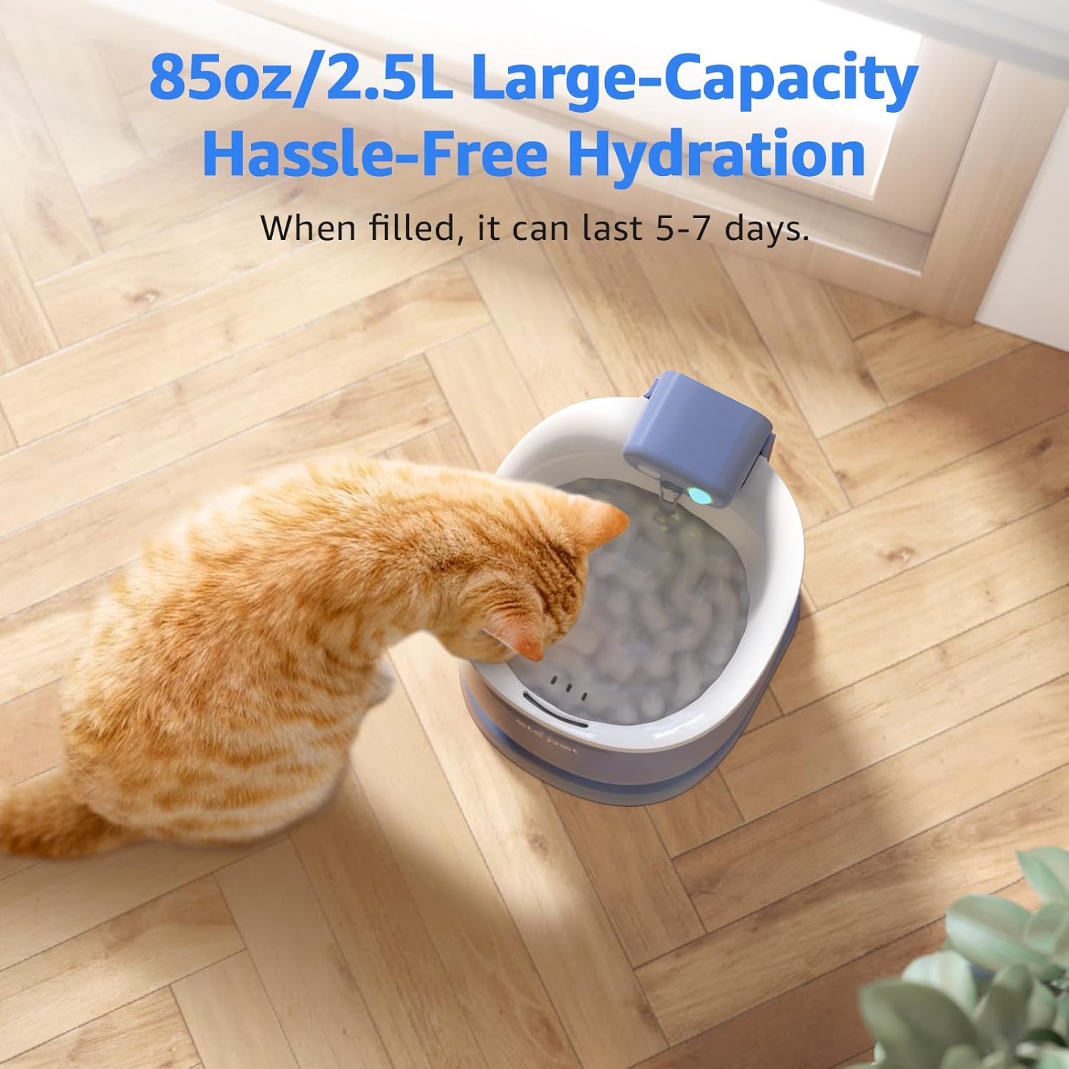 Smart Fountain