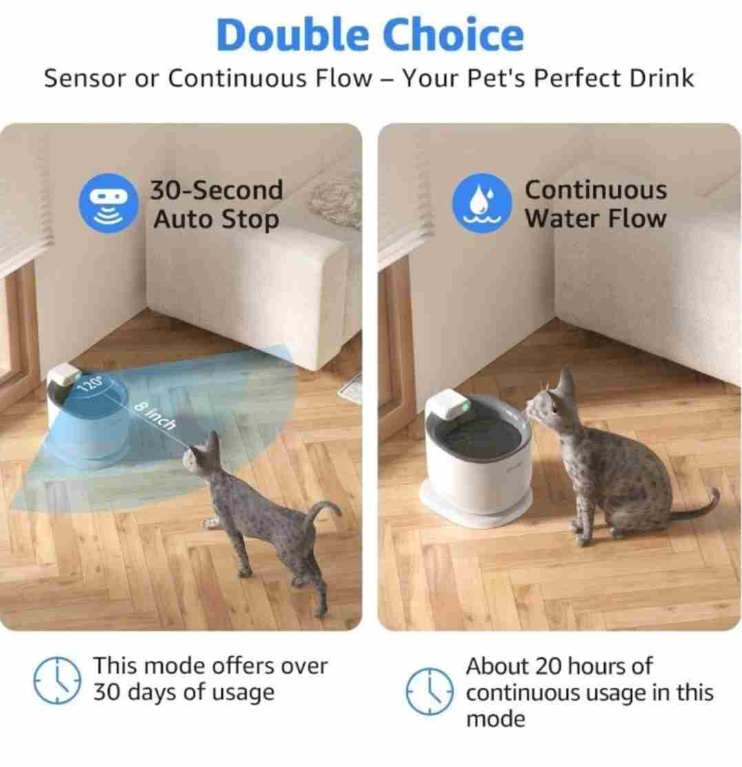 Smart Fountain