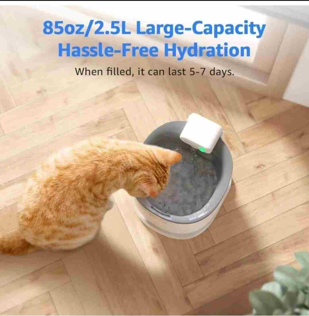 Smart Fountain