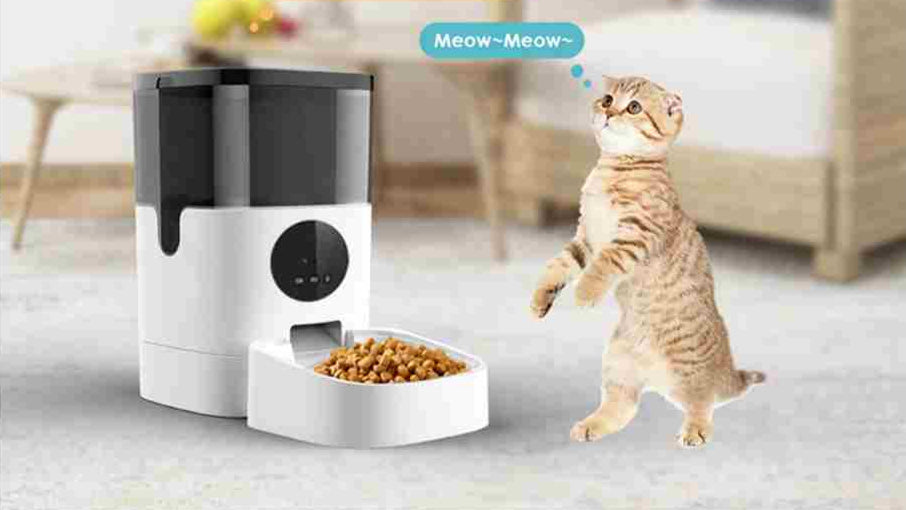 Smart Feeder