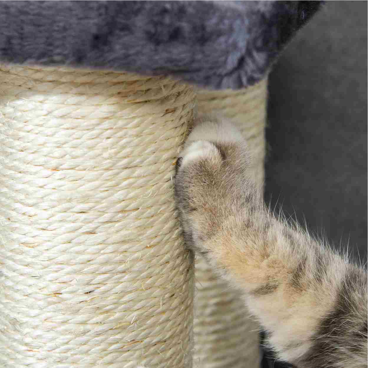 Cat Tree with 4 Steps