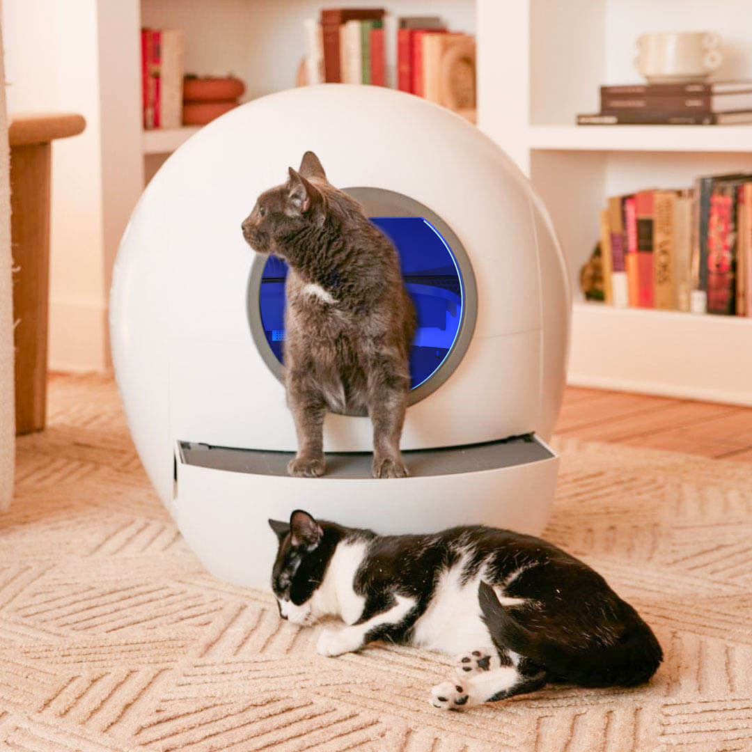 Spaceship 1 Automatic Litter Box