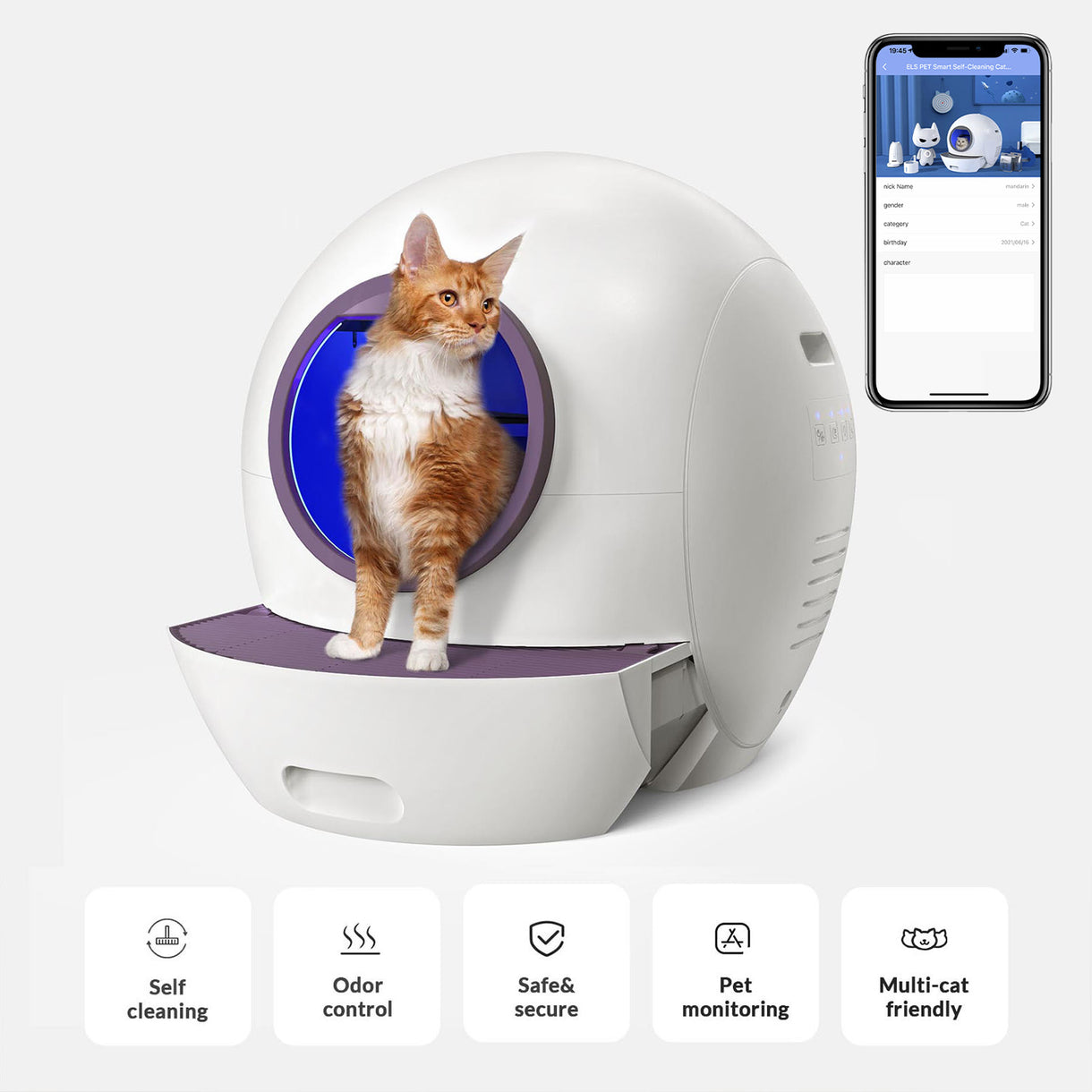 Spaceship 1 Automatic Litter Box