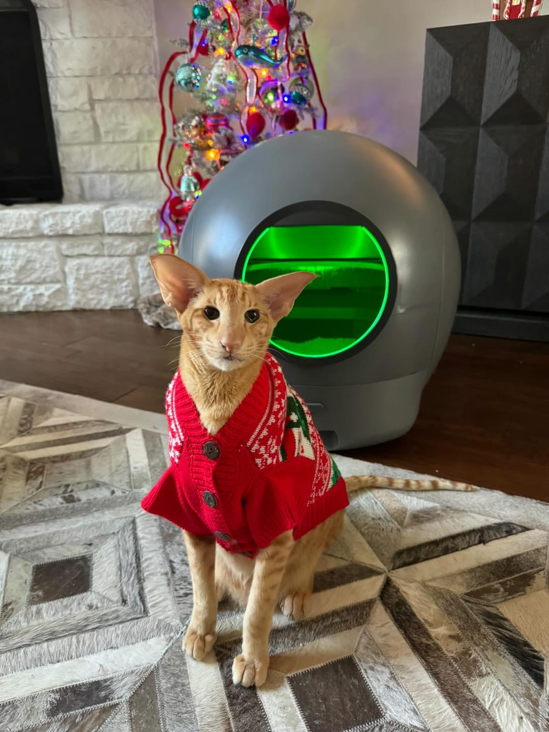 Spaceship 1 Automatic Litter Box