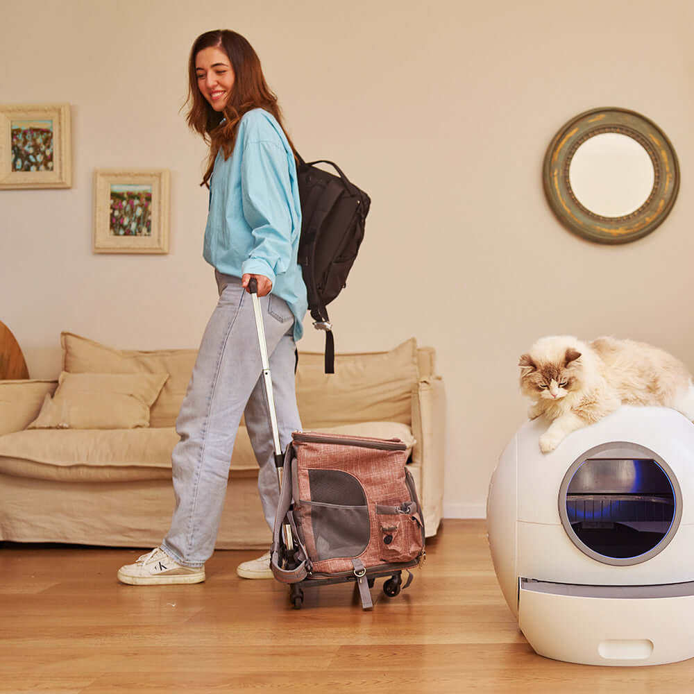 Spaceship 1 Automatic Litter Box