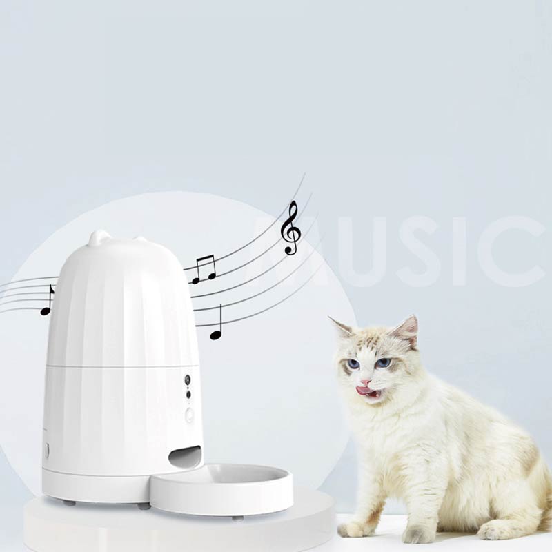 Intelligenter Musik-Feeder