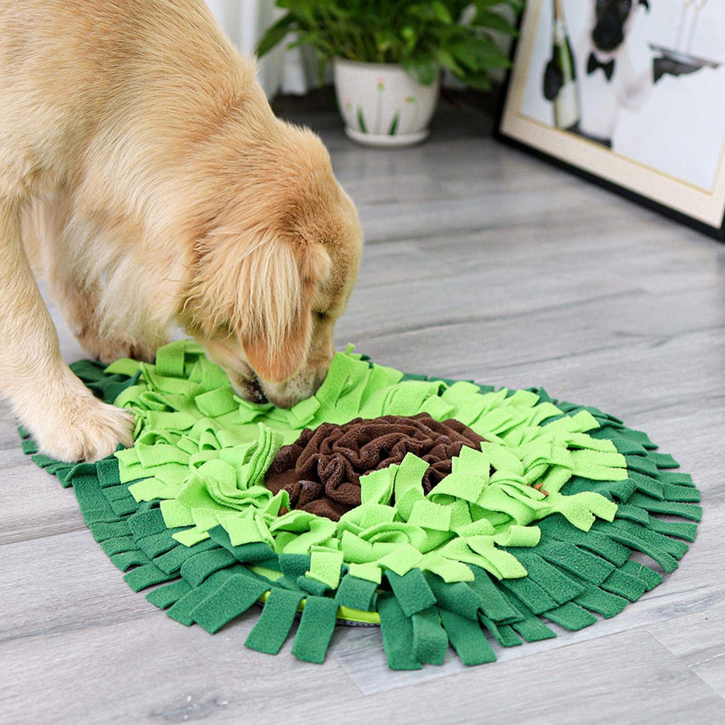 Golden dog sniffing for treats in a green avocado snuffle mat
