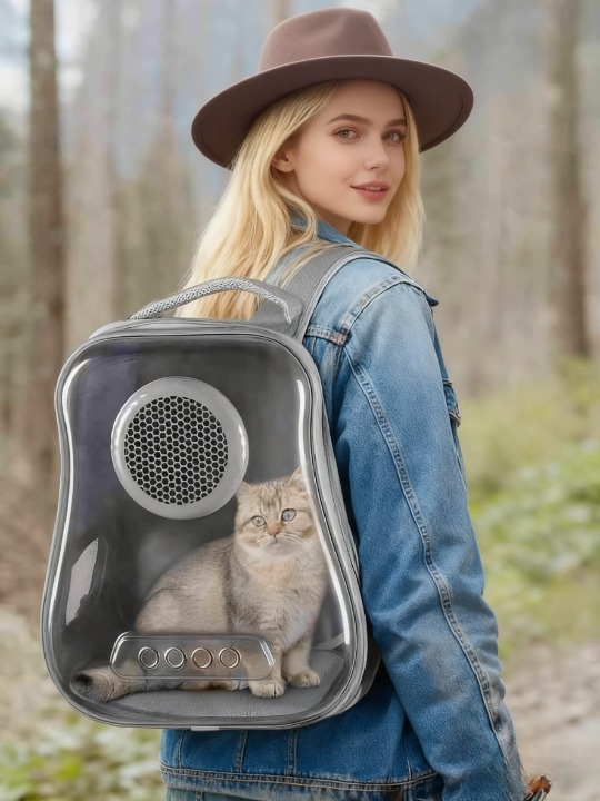 Die perfekte Transportbox für Katzen: Sicherheit, Komfort und Stil – Ihr Guide von PetsDojo