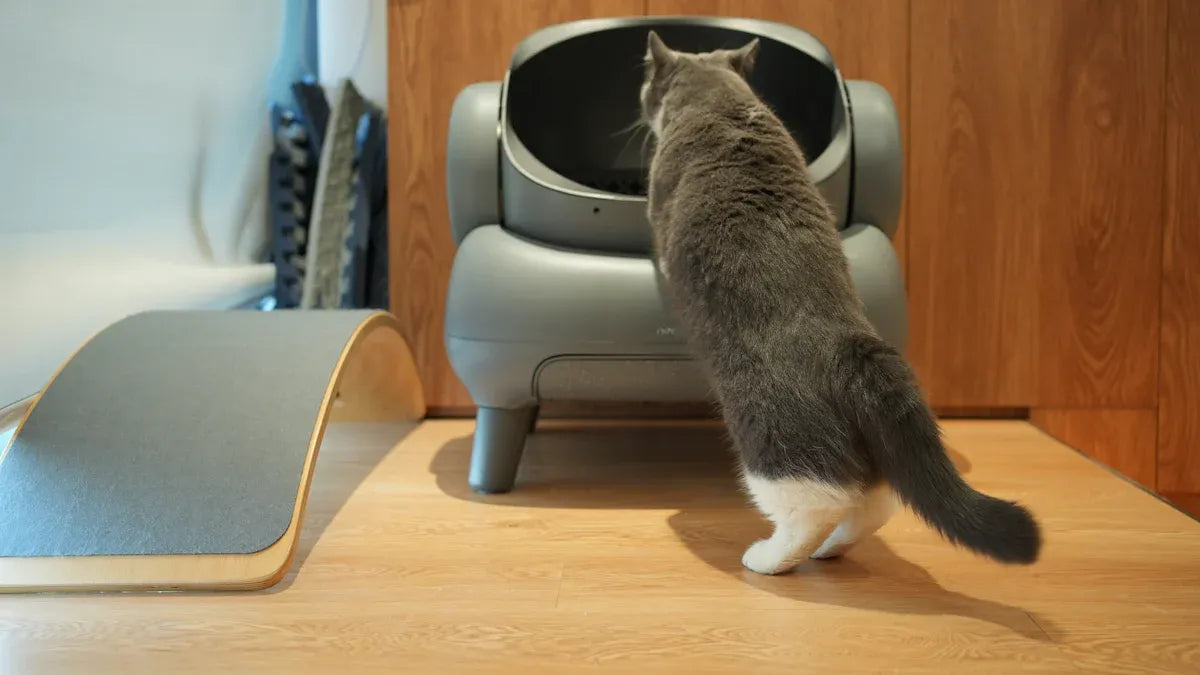 How to Choose the Best Cat Litter Box for Your Cat in 2025