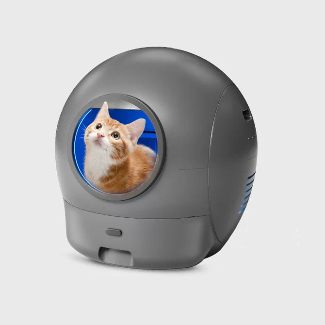 Pet Tech Turns Chores into Cheers