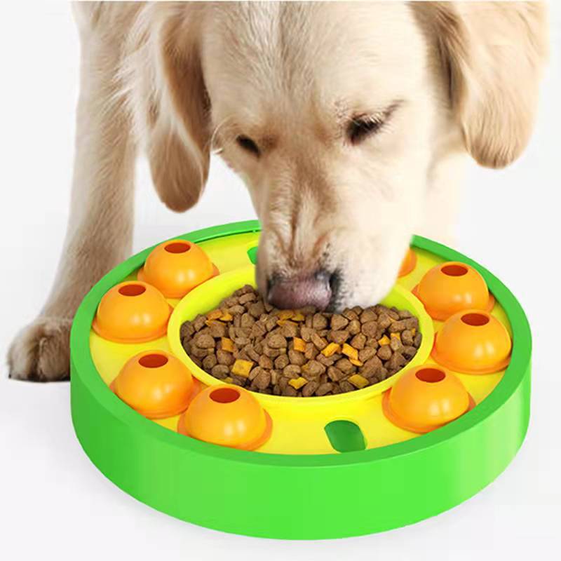 Spin & Snack Puzzle Feeder