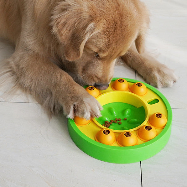 Spin & Snack Puzzle Feeder