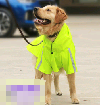 Hooded Rain Poncho