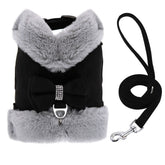 Velvet Bow Harness & Leash Set