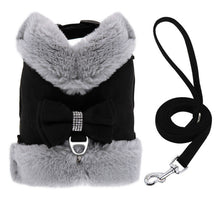 Velvet Bow Harness & Leash Set