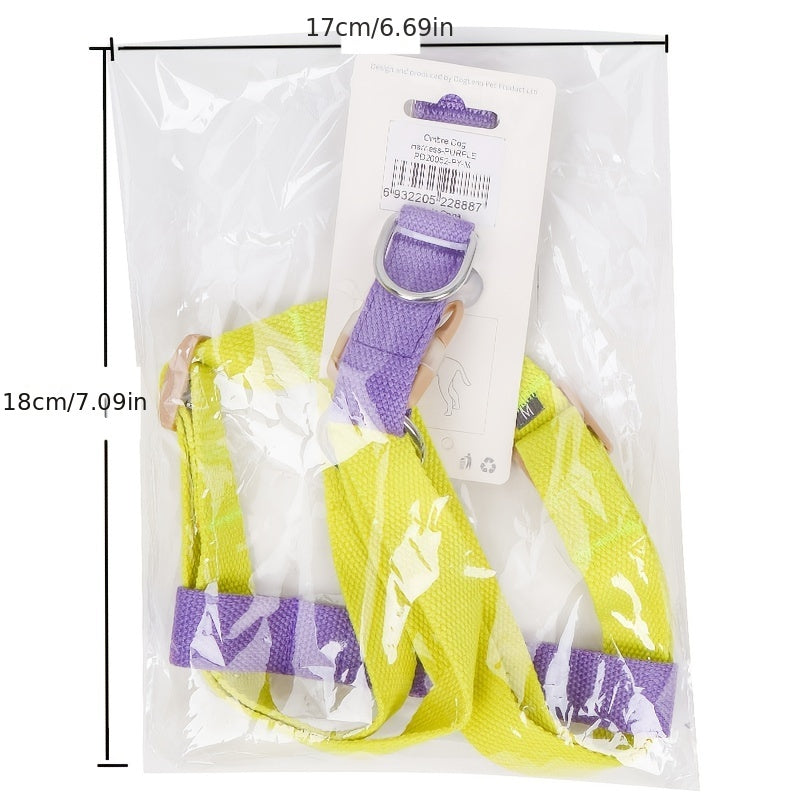Rainbow Escape-Proof Harness Set