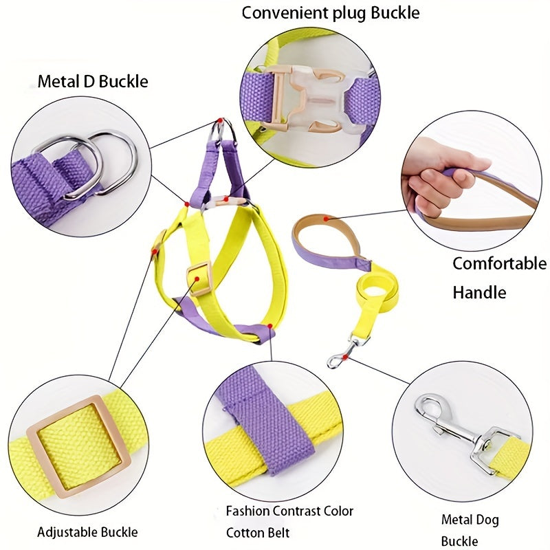 Rainbow Escape-Proof Harness Set