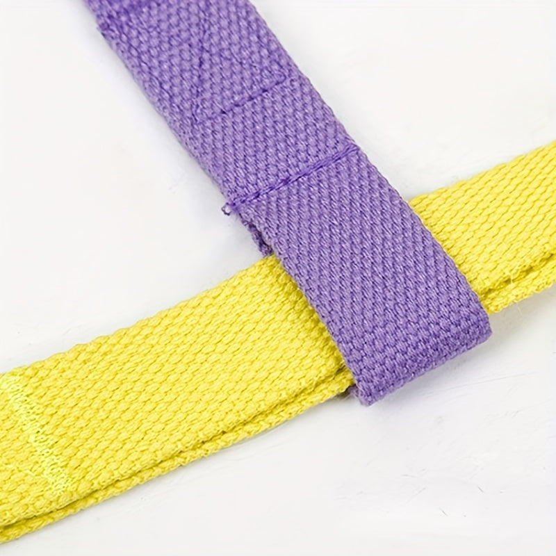Rainbow Escape-Proof Harness Set