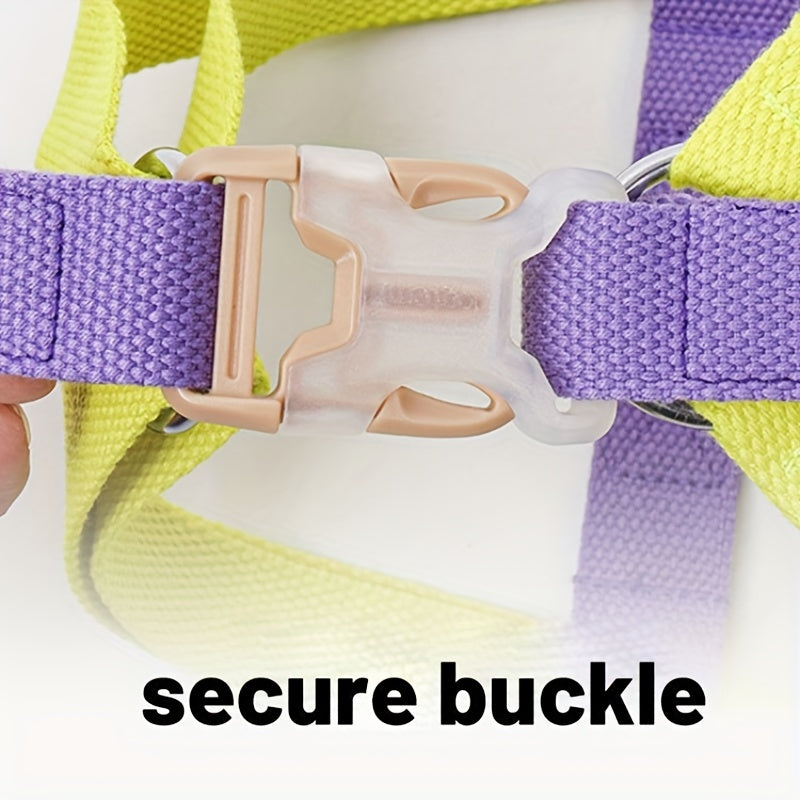 Rainbow Escape-Proof Harness Set