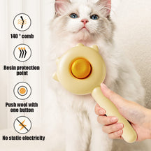 Self-Cleaning Grooming Brush