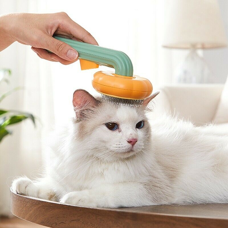 Pumpkin Self-Cleaning Brush