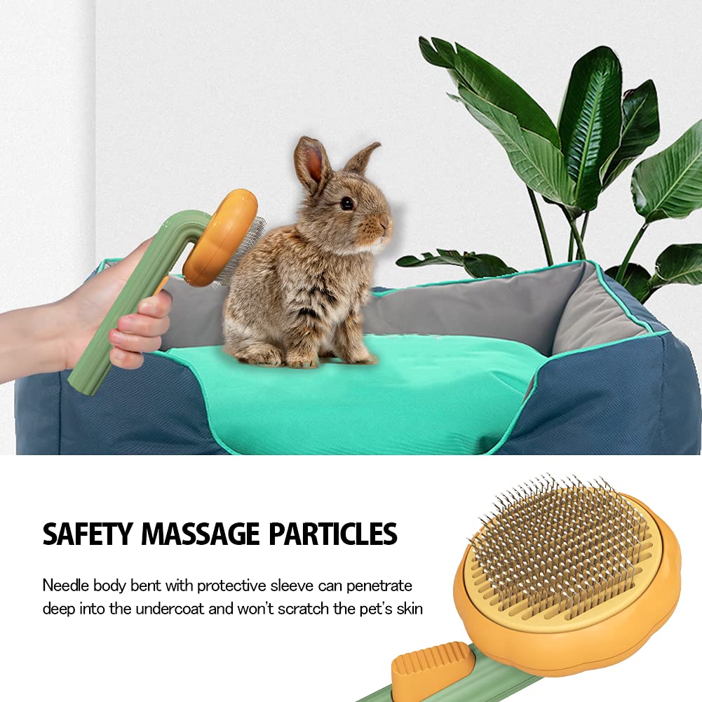 Pumpkin Self-Cleaning Brush