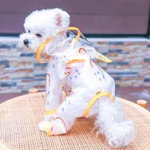 Rainbow Puddle Raincoat with Ears