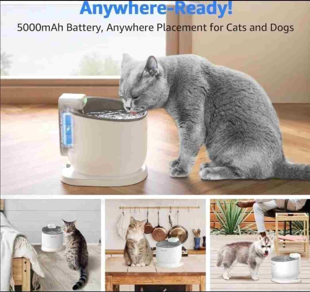 Smart Fountain
