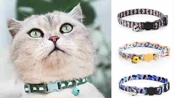 Cat Collar