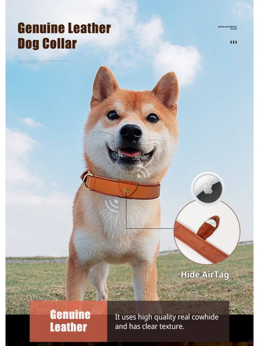 Pet Anti-lost Collar