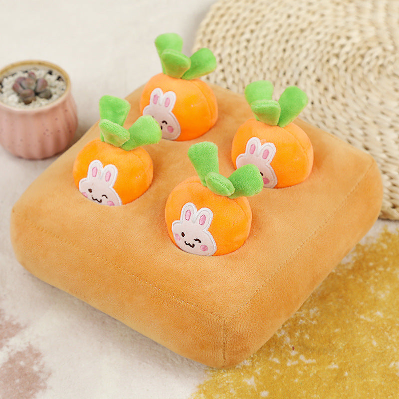 Carrot Garden Sniffing Toy