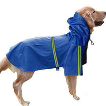 Hooded Rain Poncho