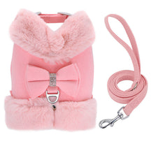 Velvet Bow Harness & Leash Set