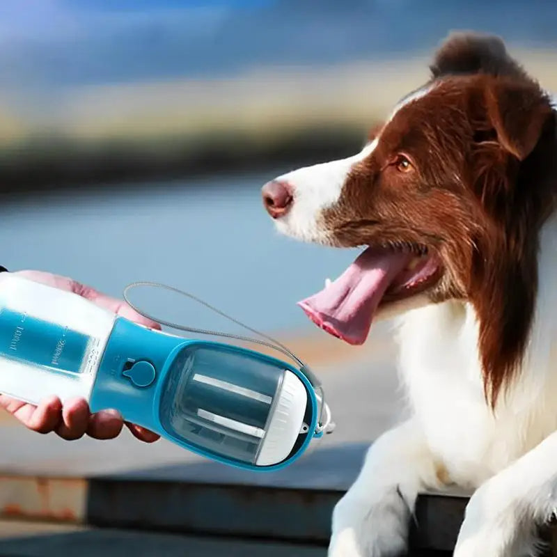 3-in-1 Walk Bottle