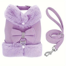 Velvet Bow Harness & Leash Set