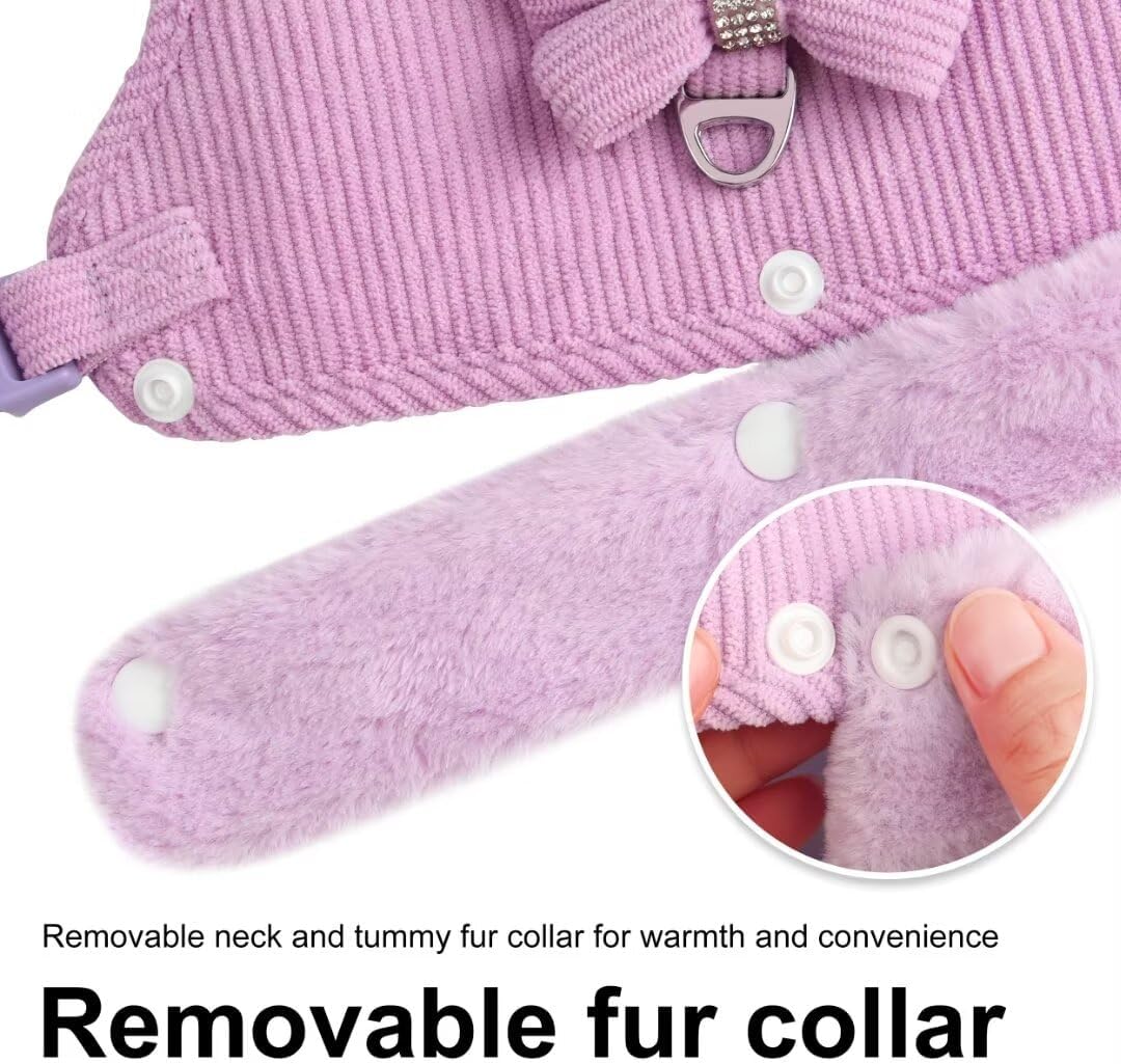 Velvet Bow Harness & Leash Set