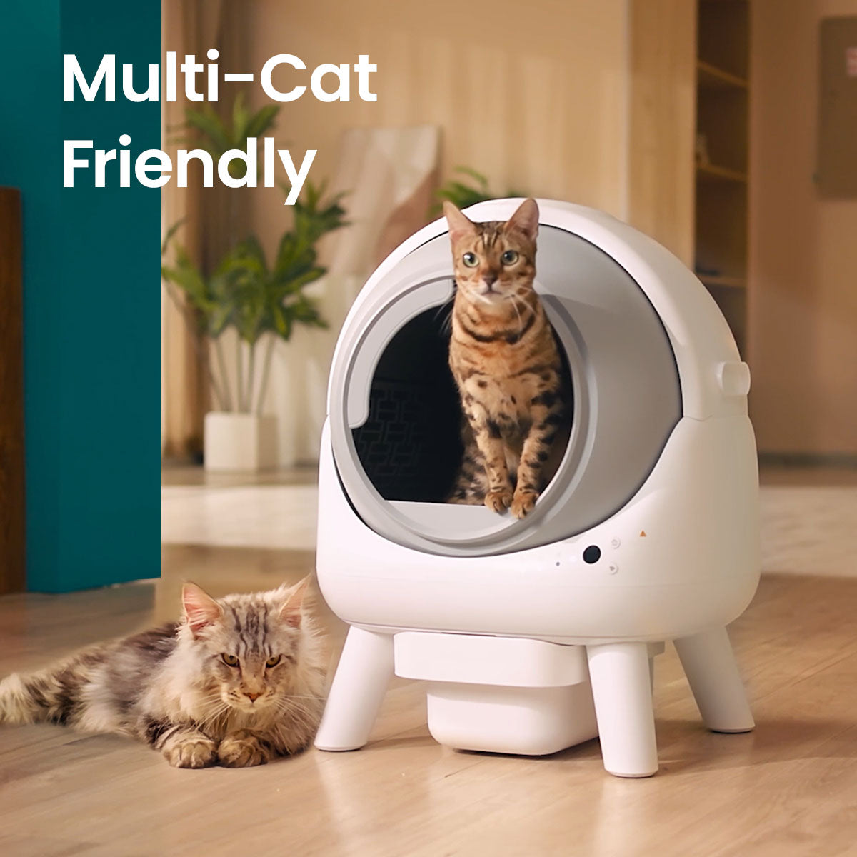 Orbitie Automatic Cat Litter Box for Cats