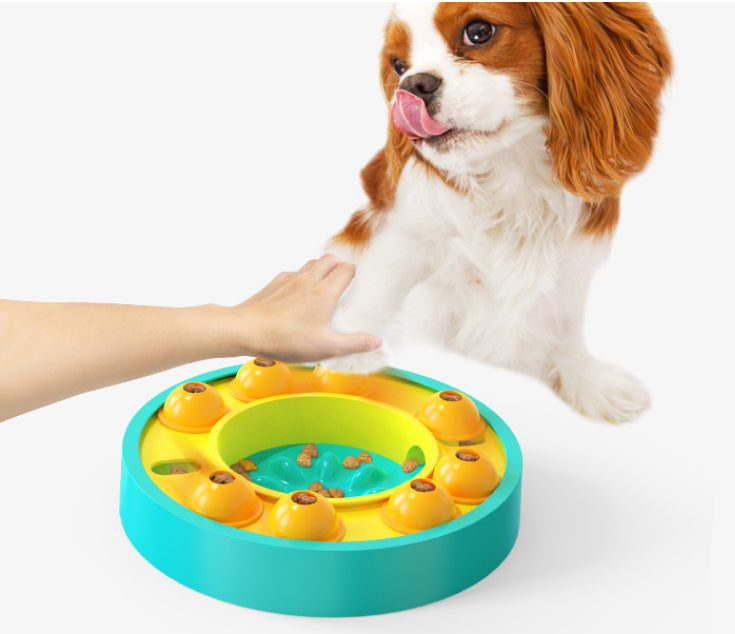 Spin & Snack Puzzle Feeder