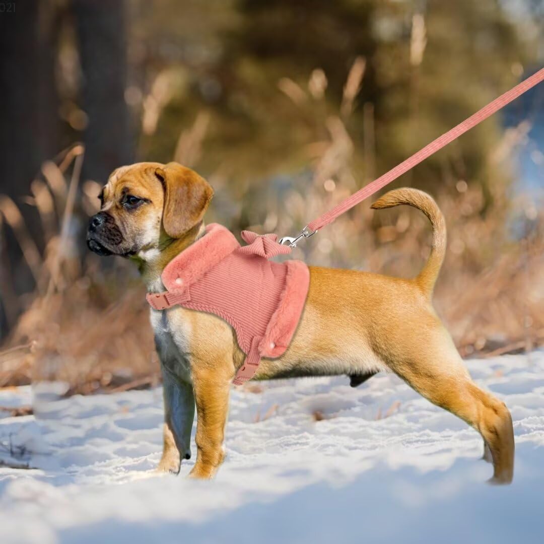 Velvet Bow Harness & Leash Set