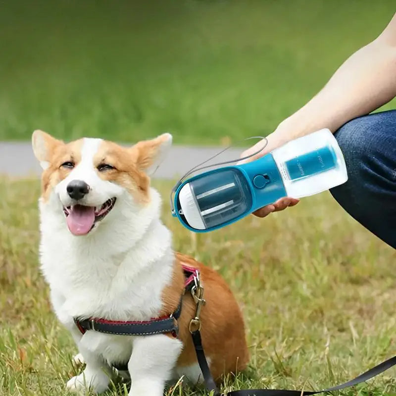 3-in-1 Walk Bottle