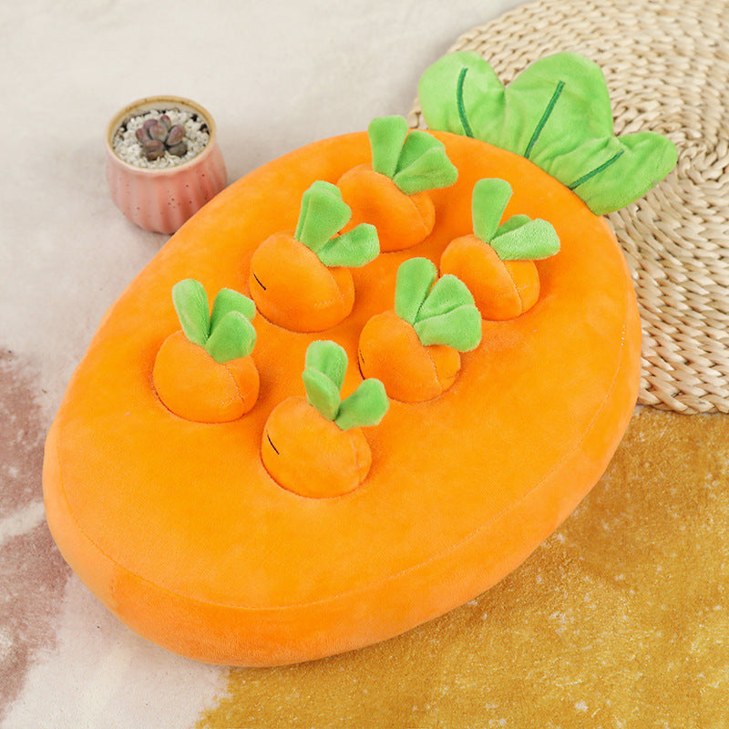 Carrot Garden Sniffing Toy