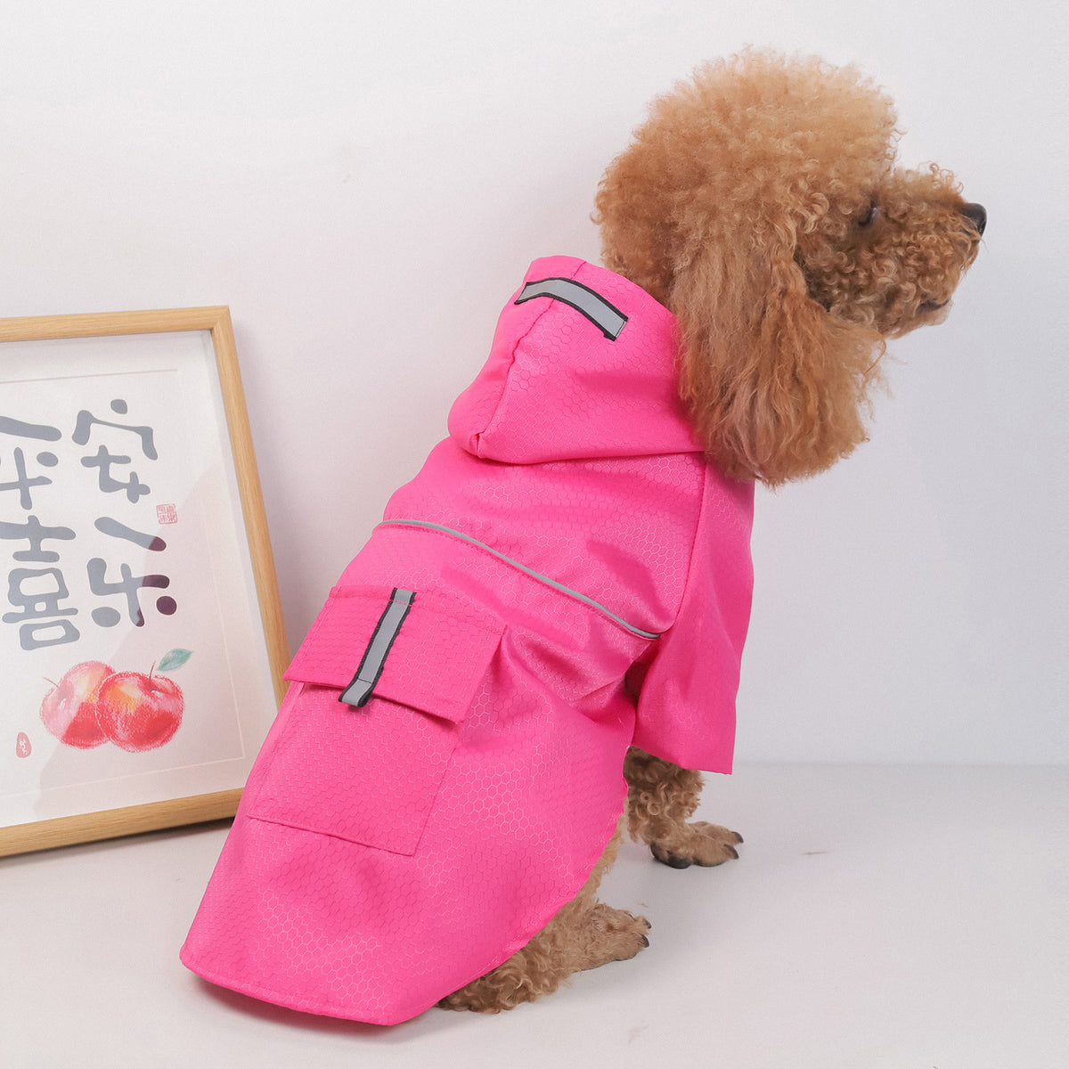 Reflective Splash Raincoat