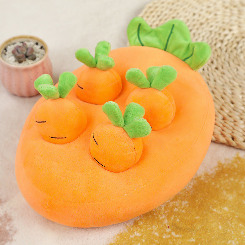 Carrot Garden Sniffing Toy