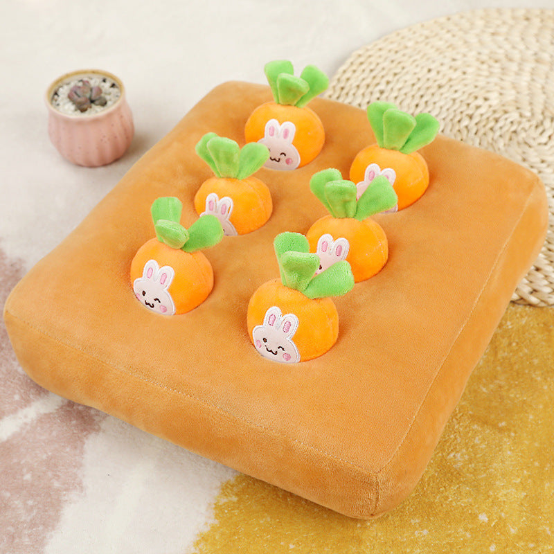 Carrot Garden Sniffing Toy