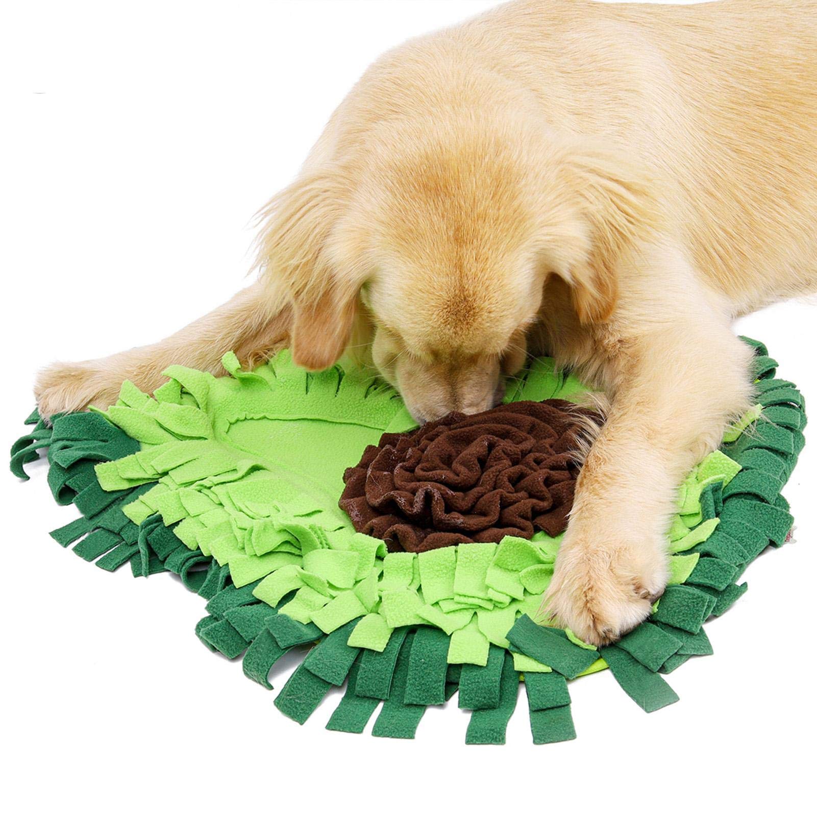 Avocado Snuffle Mat