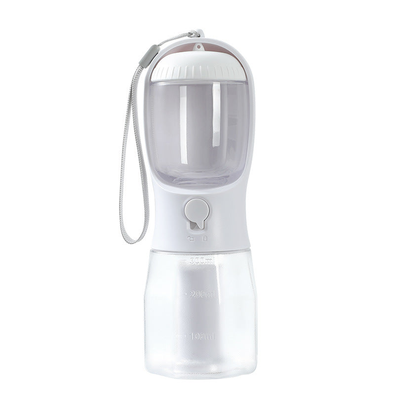 3-in-1 Walk Bottle