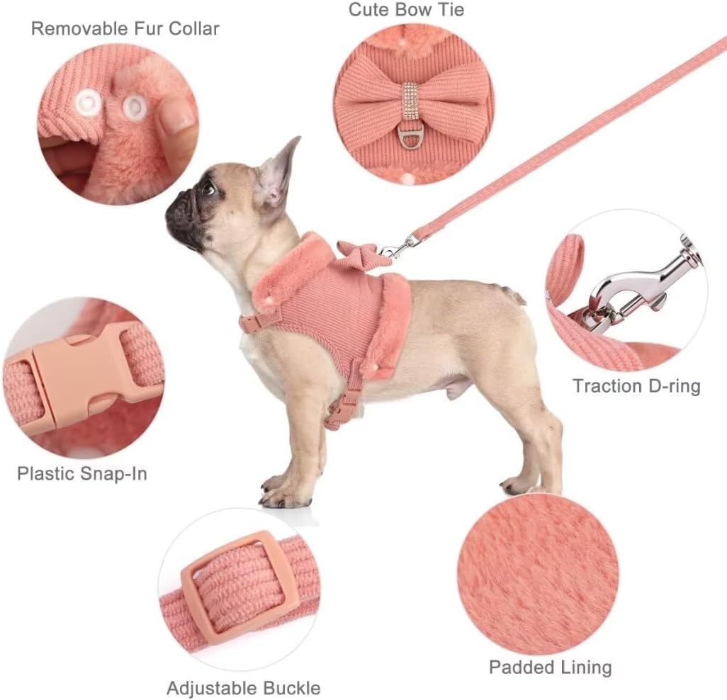 Velvet Bow Harness & Leash Set