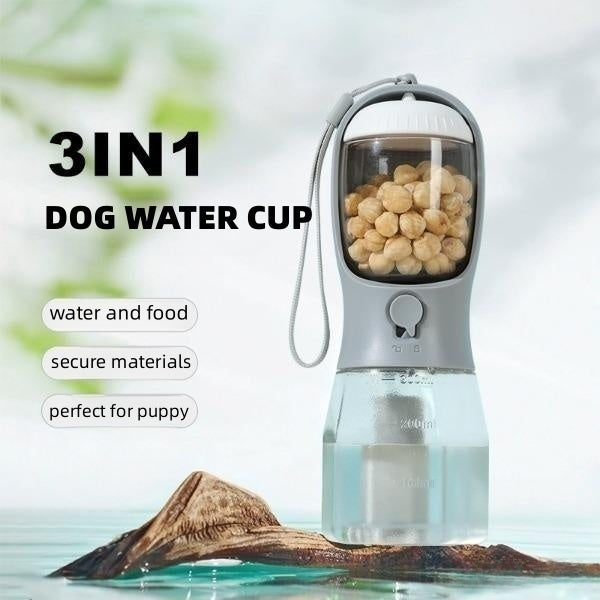 3-in-1 Walk Bottle